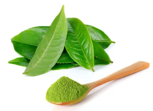 申城寻味-沈大成青团现蒸现卖，排队半小时到底值不值？