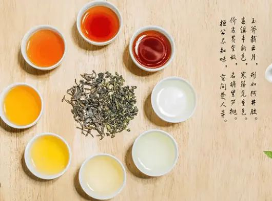 上海会所车友聚会与试驾活动到底有多上头？我劝你亲自来感受一次