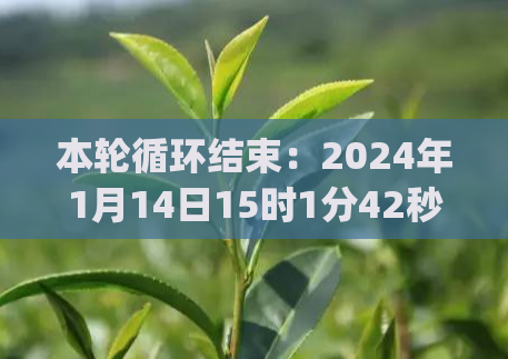 本轮循环结束：2024年1月14日15时1分42秒 (2)