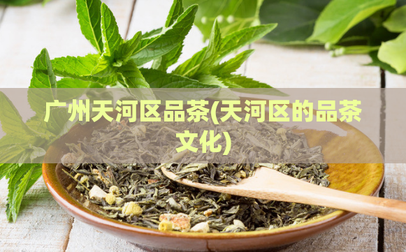 广州天河区品茶(天河区的品茶文化)