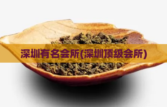 深圳有名会所(深圳顶级会所)