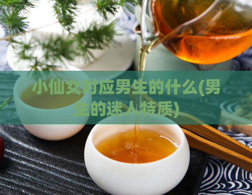 小仙女对应男生的什么(男生的迷人特质)
