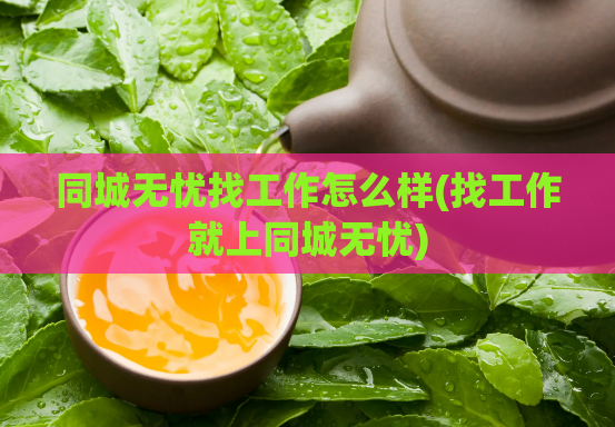 同城无忧找工作怎么样(找工作就上同城无忧)