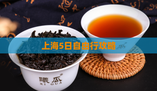 上海5日自由行攻略