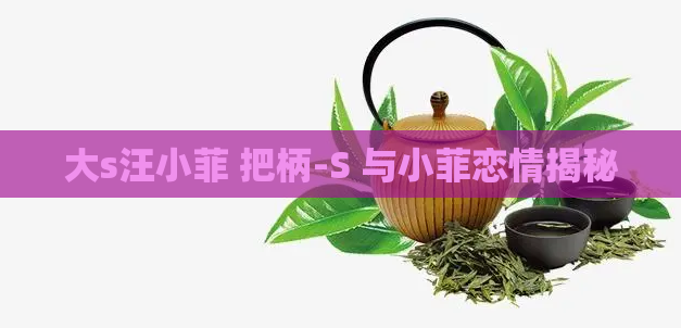 大s汪小菲 把柄-S 与小菲恋情揭秘