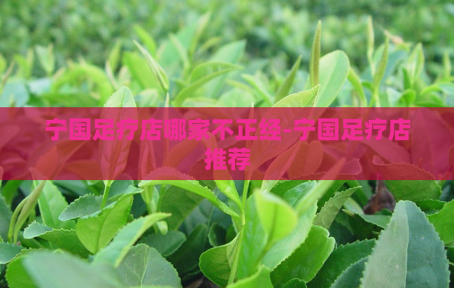 宁国足疗店哪家不正经-宁国足疗店推荐
