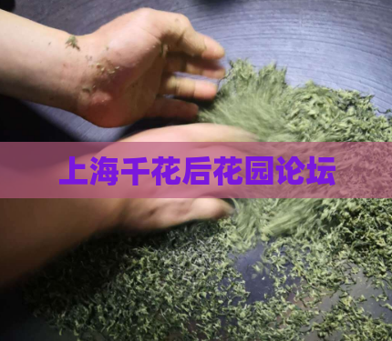 上海千花后花园论坛