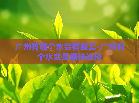 广州有哪个水会有整套-广州哪个水会是最佳选择