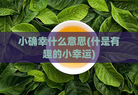 小确幸什么意思(什是有趣的小幸运)