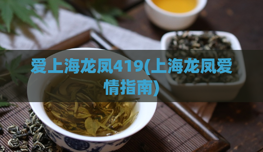 爱上海龙凤419(上海龙凤爱情指南)