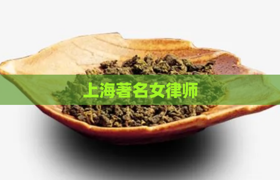 上海著名女律师