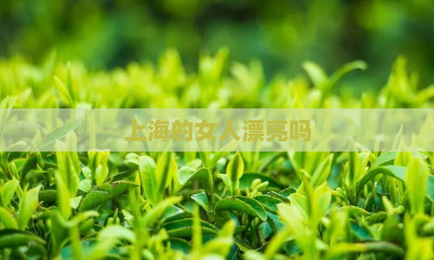 上海的女人漂亮吗