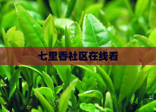 七里香社区在线看