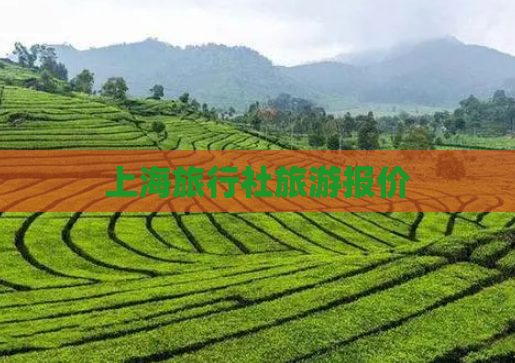 上海旅行社旅游报价