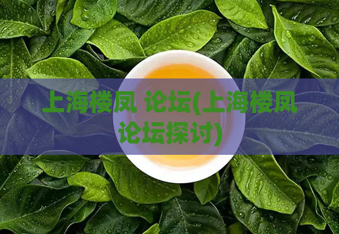 上海楼凤 论坛(上海楼凤论坛探讨)