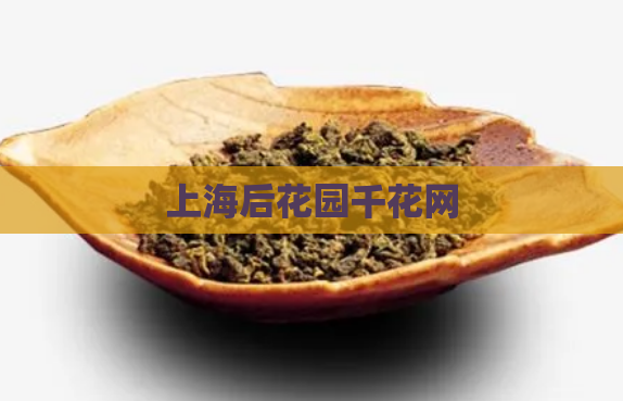 上海后花园千花网