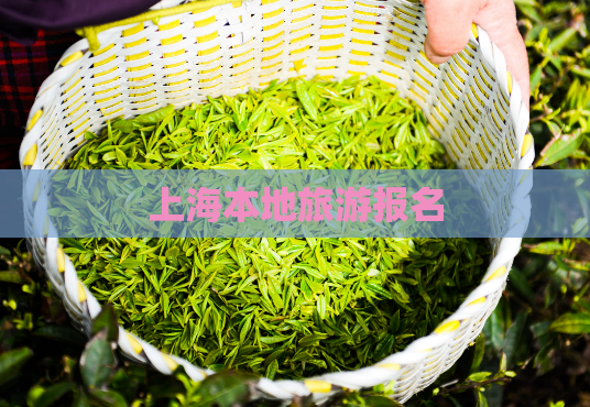上海本地旅游报名