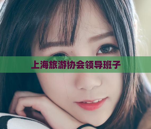 上海旅游协会领导班子