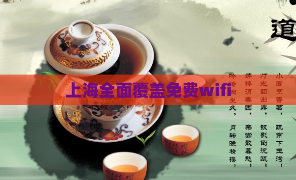 上海全面覆盖免费wifi