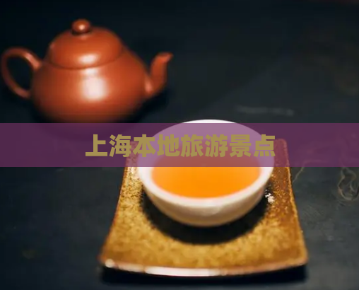 上海本地旅游景点