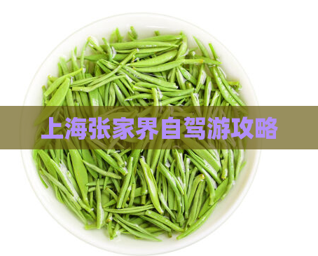 上海张家界自驾游攻略