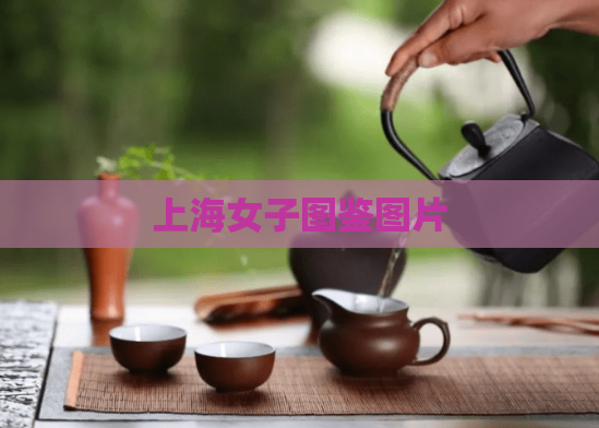 上海女子图鉴图片