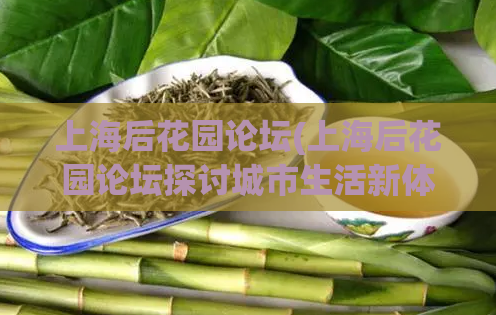 上海后花园论坛(上海后花园论坛探讨城市生活新体验)