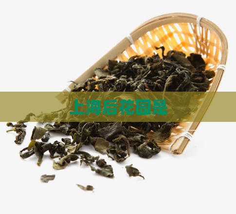 上海后花园是