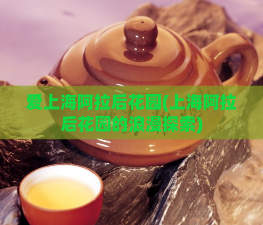 爱上海阿拉后花园(上海阿拉后花园的浪漫探索)