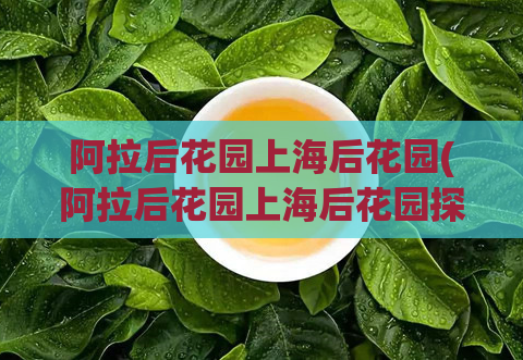 阿拉后花园上海后花园(阿拉后花园上海后花园探索)