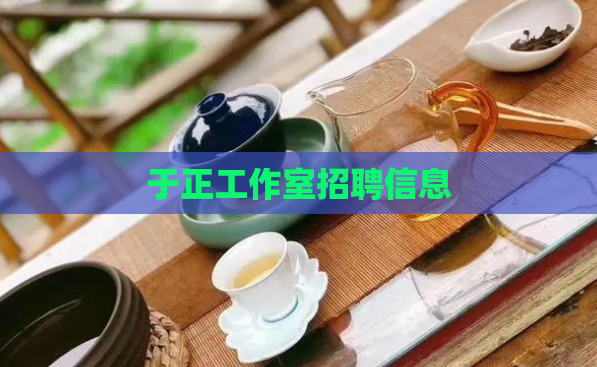 于正工作室招聘信息