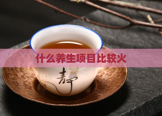 什么养生项目比较火