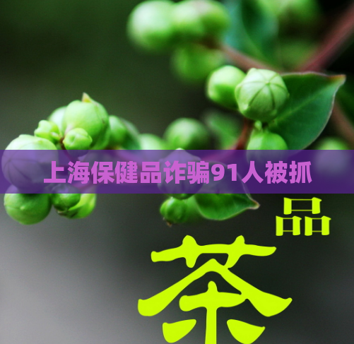 上海保健品诈骗91人被抓