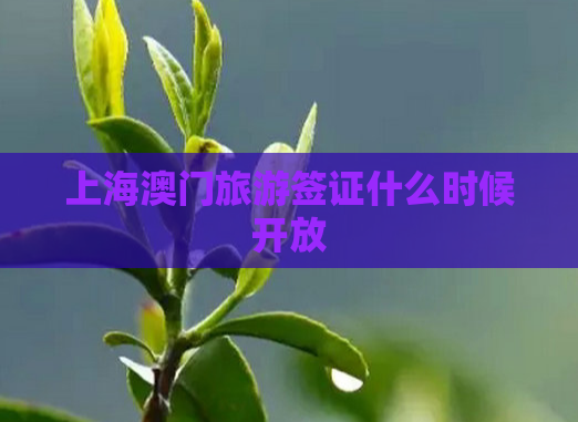 上海澳门旅游签证什么时候开放