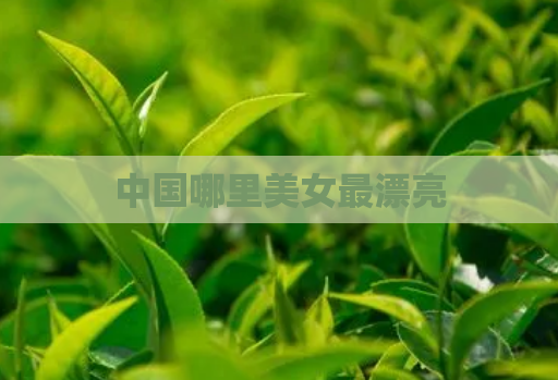 中国哪里美女最漂亮