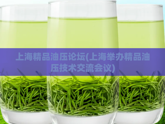 上海精品油压论坛(上海举办精品油压技术交流会议)