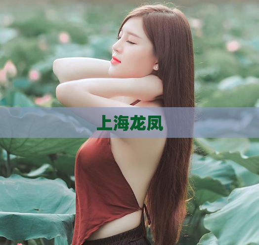 上海龙凤