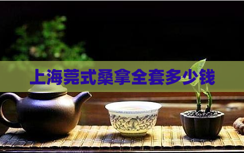 上海莞式桑拿全套多少钱