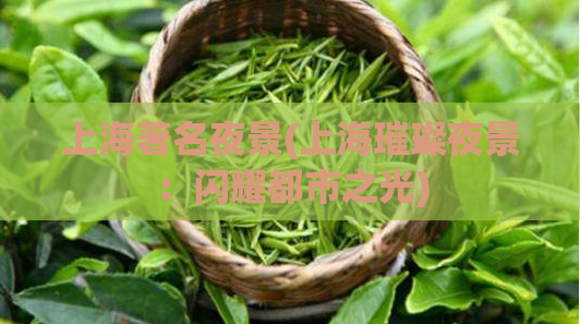 上海著名夜景(上海璀璨夜景：闪耀都市之光)