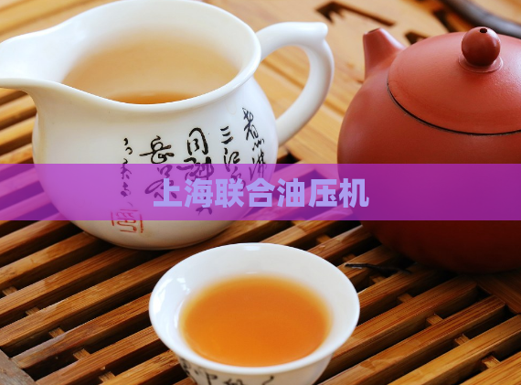 上海联合油压机