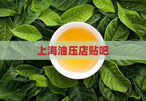 上海油压店贴吧