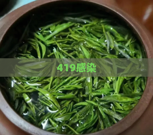 419感染