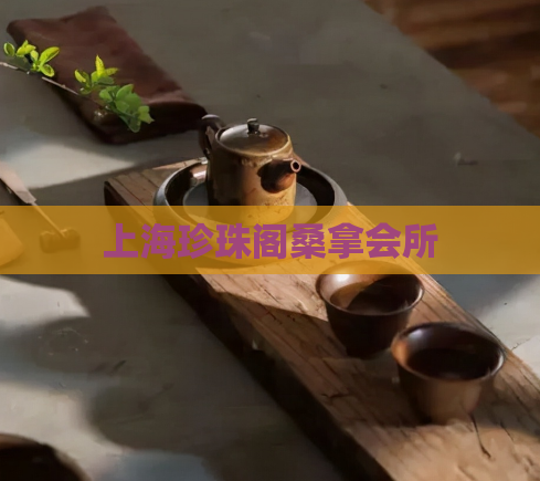 上海珍珠阁桑拿会所