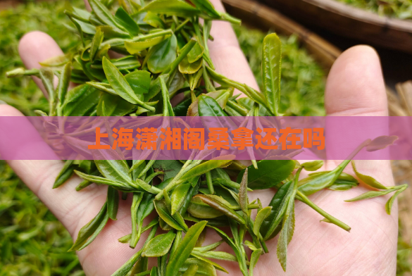 上海潇湘阁桑拿还在吗