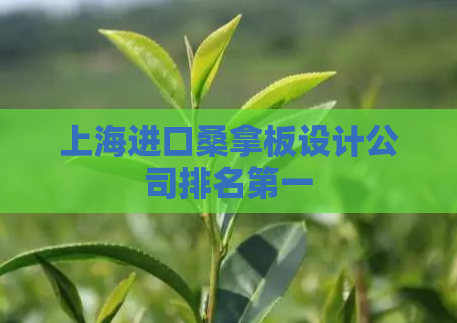 上海进口桑拿板设计公司排名第一