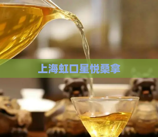 上海虹口星悦桑拿