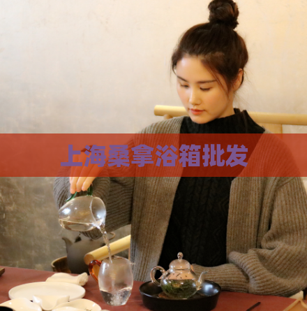 上海桑拿浴箱批发