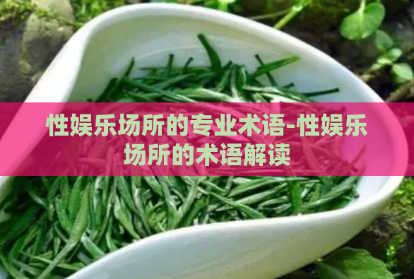 性娱乐场所的专业术语-性娱乐场所的术语解读