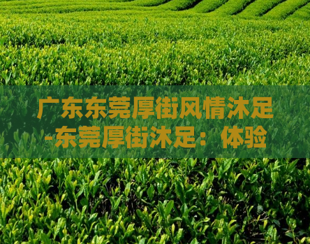 广东东莞厚街风情沐足-东莞厚街沐足：体验风情养生