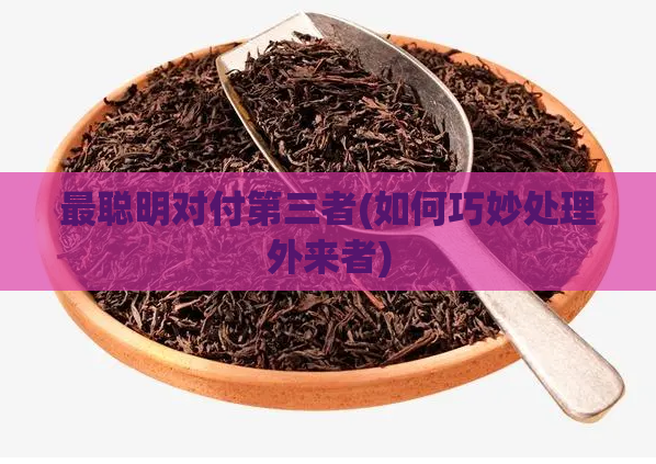 最聪明对付第三者(如何巧妙处理外来者)